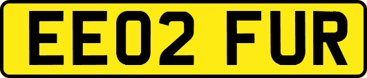EE02FUR