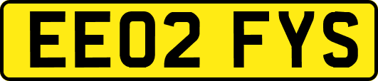 EE02FYS
