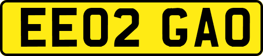 EE02GAO