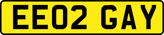 EE02GAY