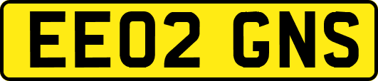 EE02GNS