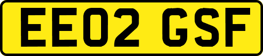 EE02GSF