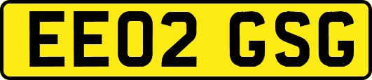EE02GSG