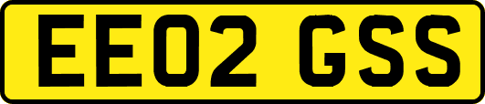 EE02GSS