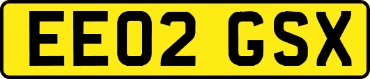 EE02GSX