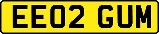 EE02GUM