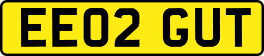 EE02GUT