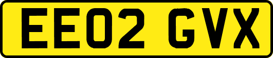 EE02GVX