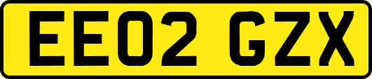 EE02GZX