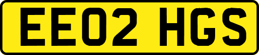 EE02HGS