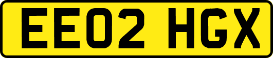 EE02HGX
