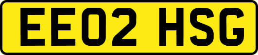 EE02HSG