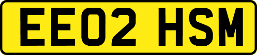 EE02HSM