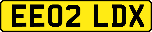 EE02LDX