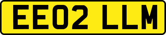 EE02LLM
