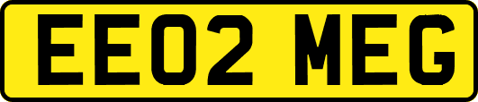 EE02MEG