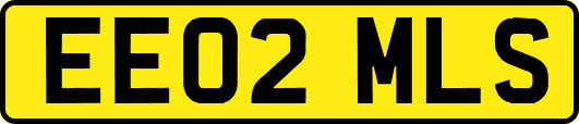 EE02MLS