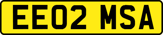 EE02MSA