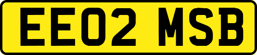 EE02MSB
