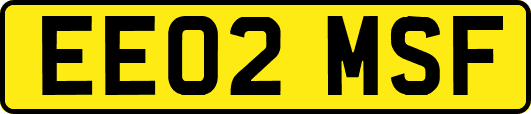 EE02MSF