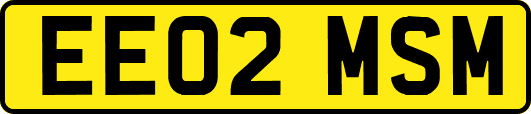 EE02MSM