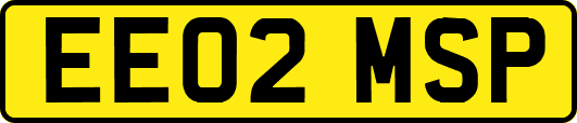 EE02MSP