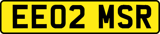 EE02MSR