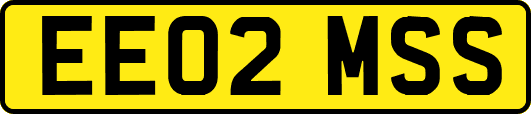 EE02MSS