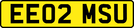 EE02MSU