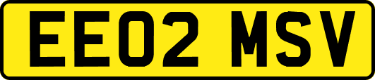 EE02MSV