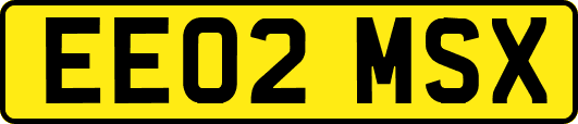 EE02MSX