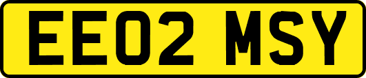 EE02MSY