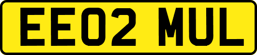 EE02MUL