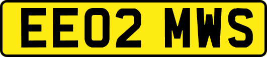 EE02MWS