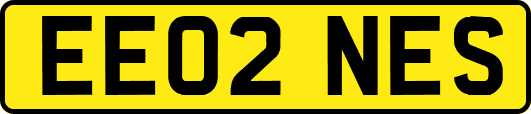 EE02NES