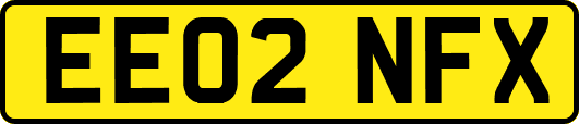 EE02NFX