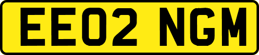 EE02NGM