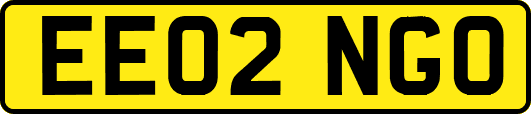 EE02NGO