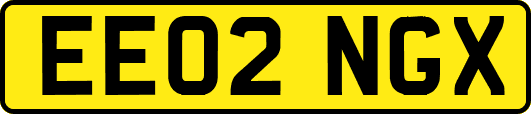 EE02NGX