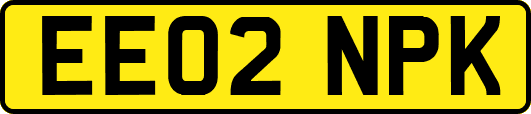 EE02NPK