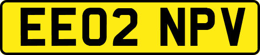 EE02NPV