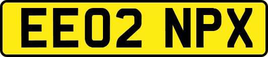 EE02NPX