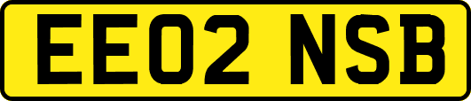 EE02NSB