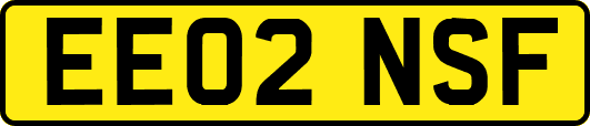 EE02NSF