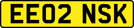 EE02NSK