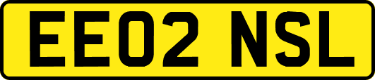 EE02NSL