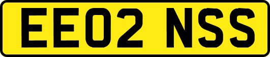 EE02NSS