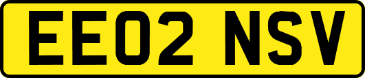 EE02NSV