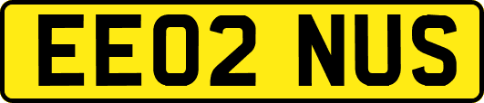 EE02NUS