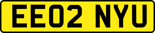 EE02NYU